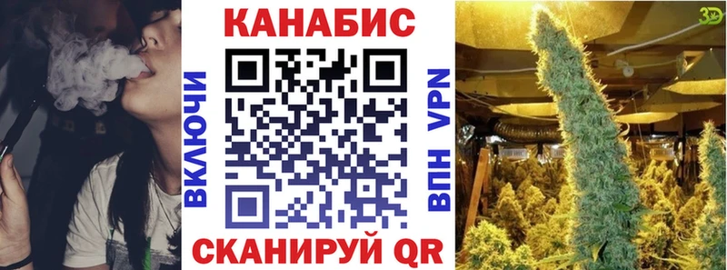 где купить   Звенигово  ОМГ ОМГ онион  Бошки марихуана семена 